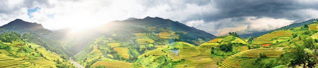 Latifundiários brasileiros comandam mais de 300 milhões de hectares