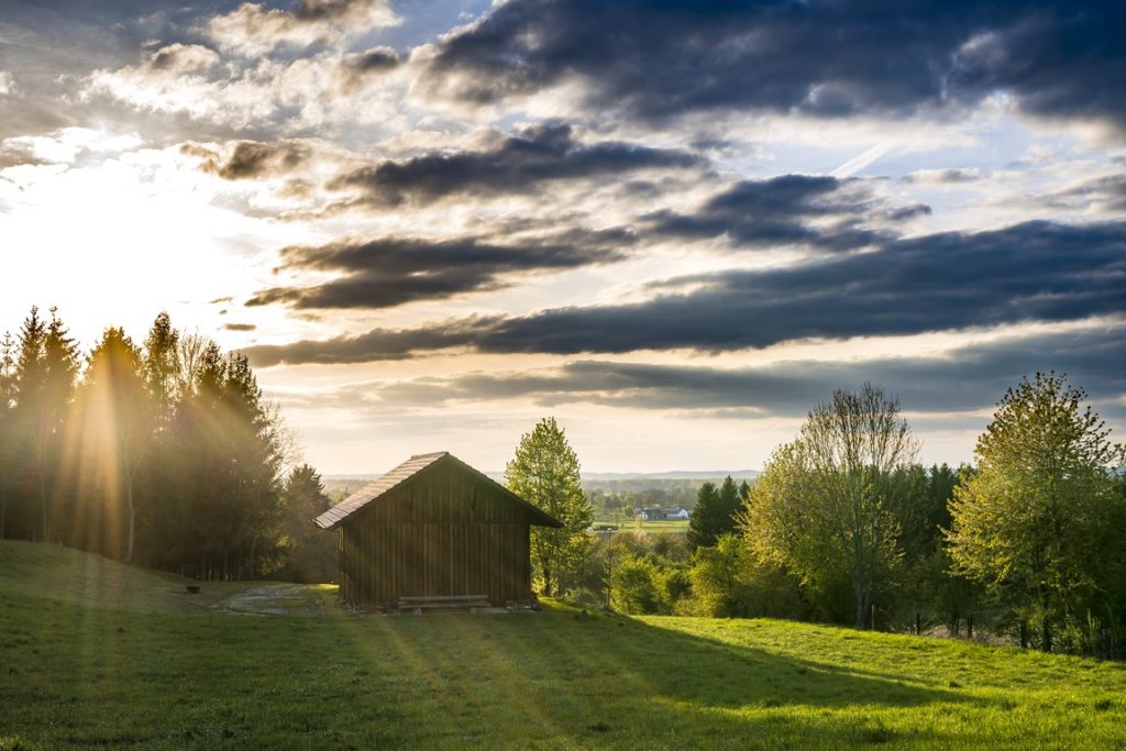 Meio Rural Zona rural e as vantagens de vivência e trabalho no campo