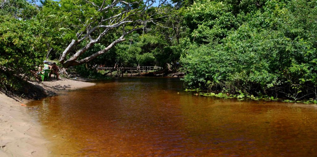 Igarapé é um pequeno curso d'água típico da região amazônica