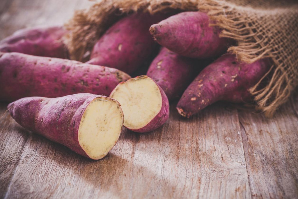 Batata doce se originou nos Andes e hoje é um alimento super popular