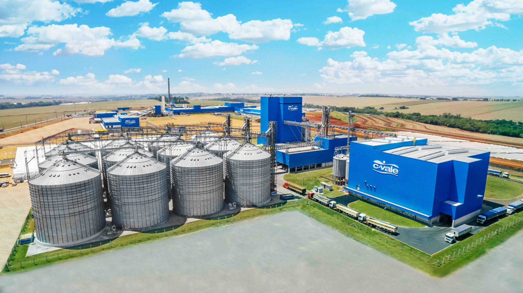 C. Vale: da compra e venda de grãos à expansão internacional