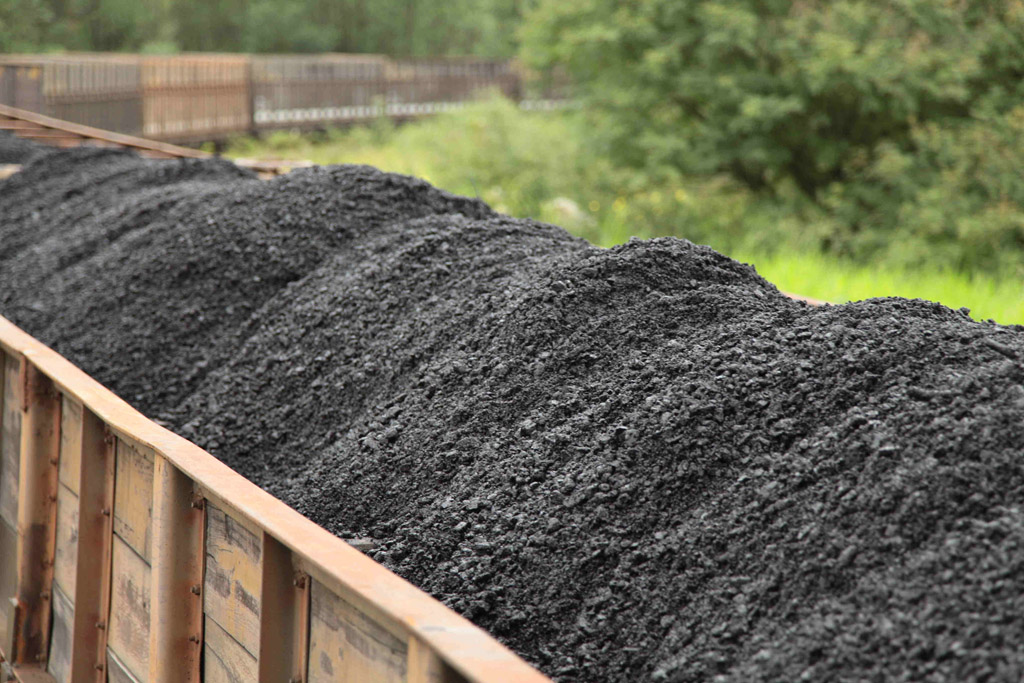 Carvão mineral é uma rocha sedimentar de energia não renovável