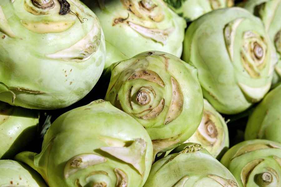 Couve-rábano é variedade nutritiva da hortaliça que parece com o repolho
