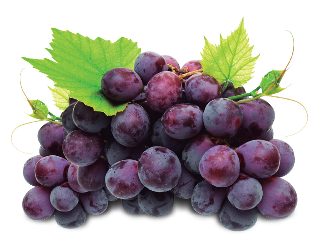 Uva roxa é rica em carboidratos e vitaminas do complexo B Uva roxa é rica em carboidratos e vitaminas do complexo B