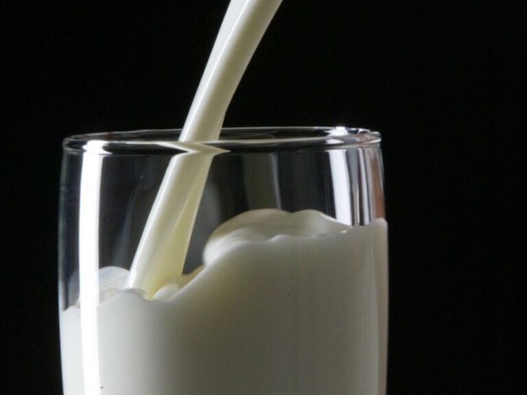 Leite Leite integral é o tipo mais barato e mais consumido pelos brasileiros